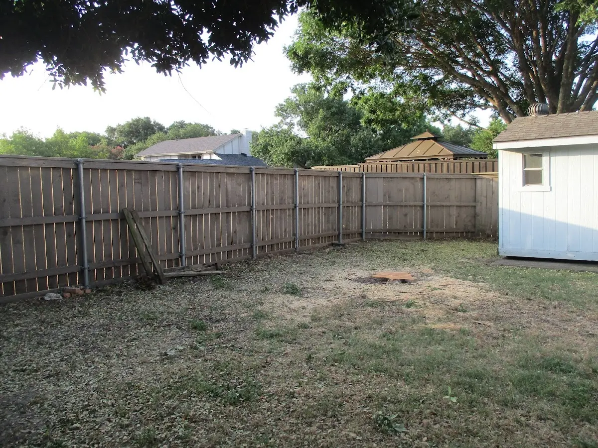 Cleared yard after professional tree removal in Swedesburg