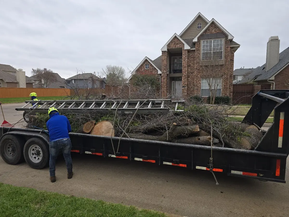 Expert Tree Fertilization with proper safety equipment in Swedesburg